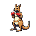 Fighting Kangaroo
